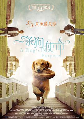 西西人体gogo艺术