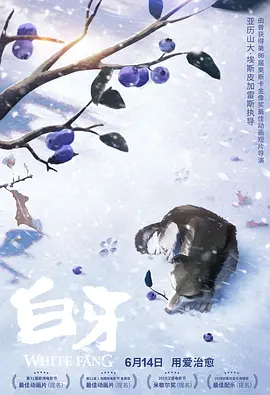 国产色产综合色产在线观看视频