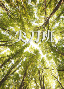 日韩毛片一级