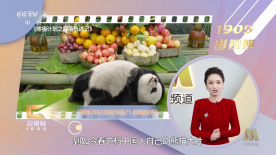 色呦呦网站